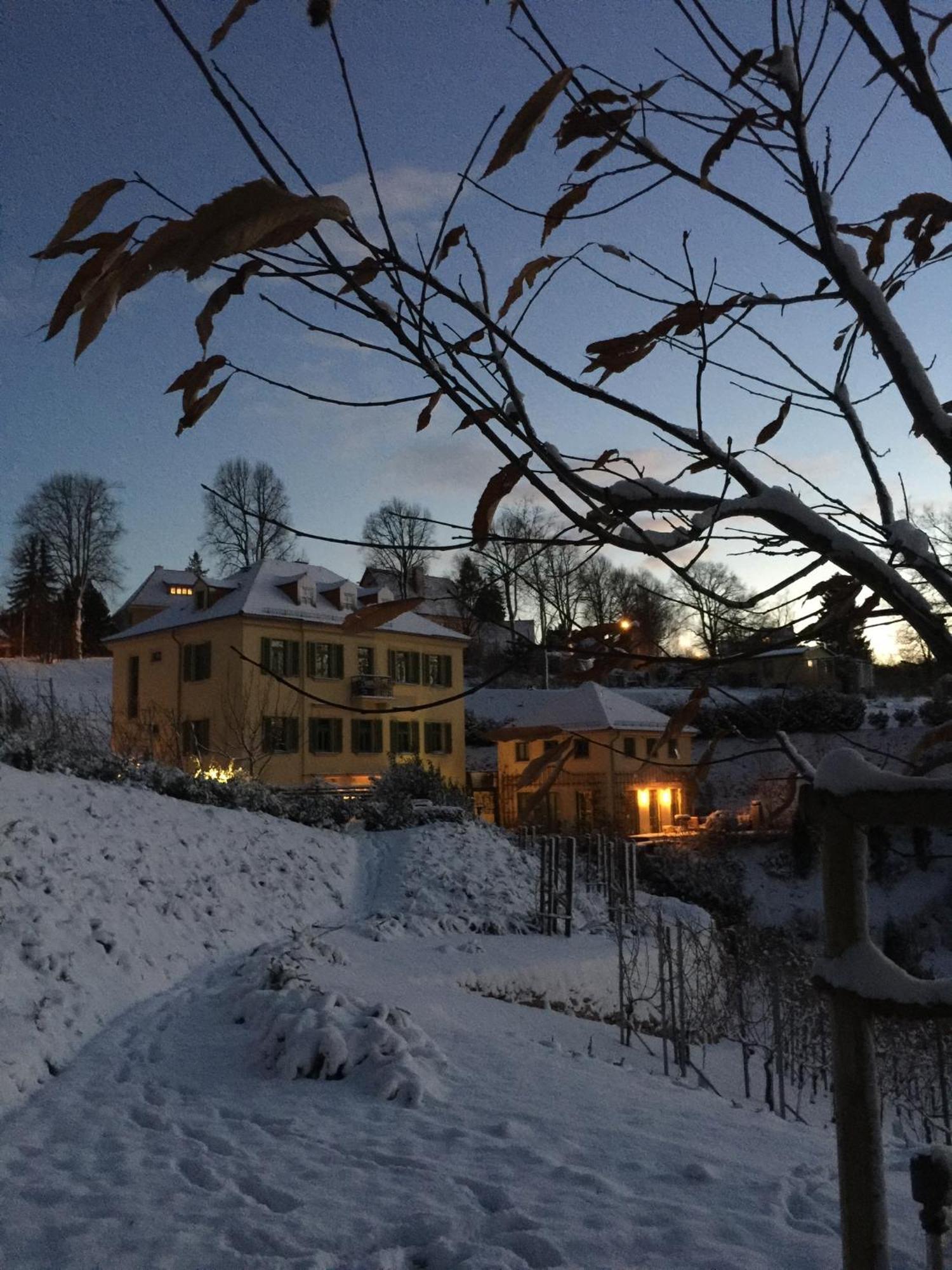 Rebenhaus Майсен Екстериор снимка