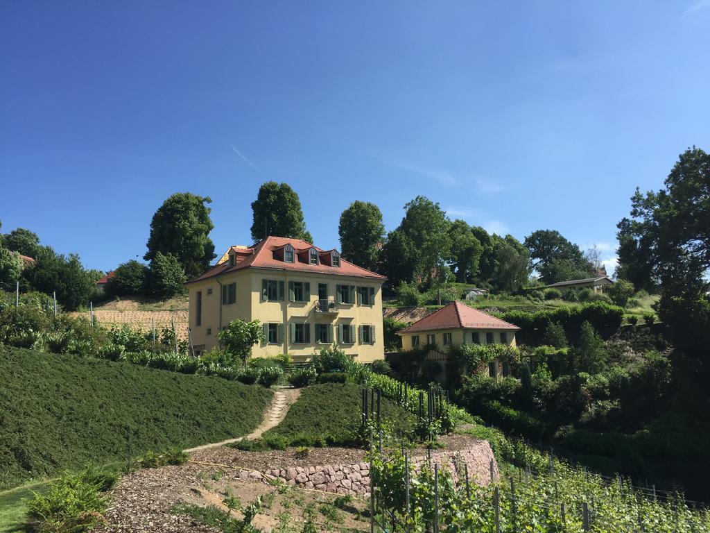 Rebenhaus Майсен Екстериор снимка